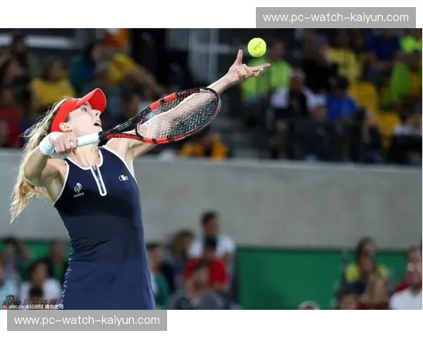 网坛双姝：小威与科内特的巅峰对决，一场力量与灵动的华章